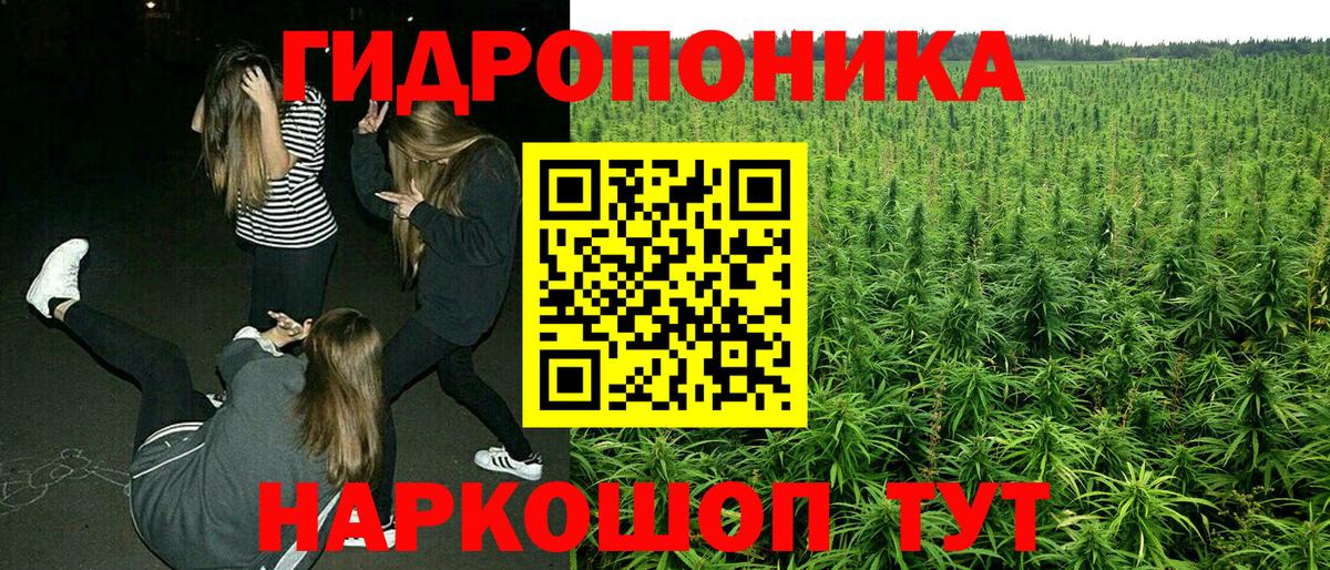 Бошки марихуана THC 21%  Вход с VPN  Ялта  Конопля ГИДРОПОН  Бошки марихуана MAZAR 